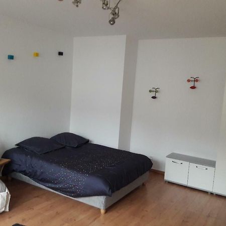 Mathilde'S Studio Apartament Strasburg Zewnętrze zdjęcie